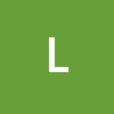 Letizia